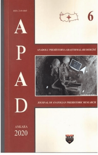 APAD%202020%20Cilt%206