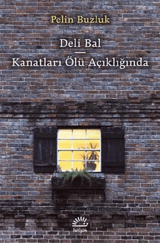 Deli%20Bal%20-%20Kanatları%20Ölü%20Açıklığında