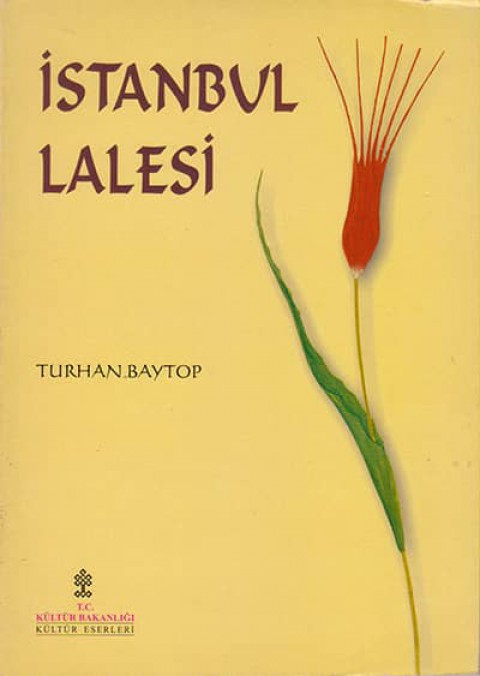 İstanbul%20Lalesi