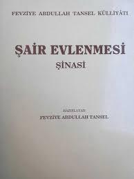 Akademi Kitabevi, Şair Evlenmesi, Şinasi