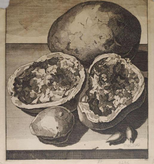 Cornelis de Bruyn