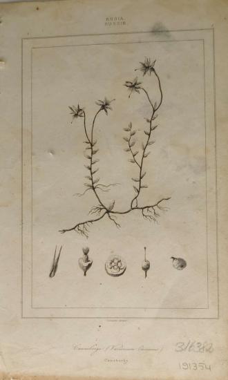 Joseph-Marie Jouannin