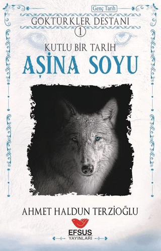 Efsus Yayınları, Aşina Soyu - Göktürkler Destanı 1, Ahmet Haldun Terzioğlu
