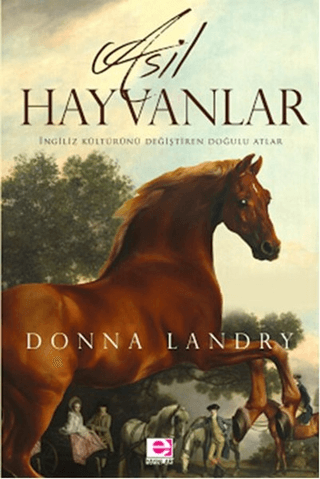 E Yayınları